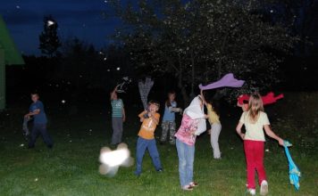 Kooliga Palupõhja looduslaagris