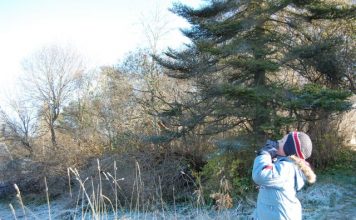 Uurisime kaja ja halla