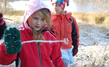 Matkale Kiidjärvele dsc_0217