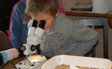 Silmale nähtamatu on imeline