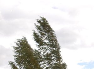 Tuul on meist tugevam