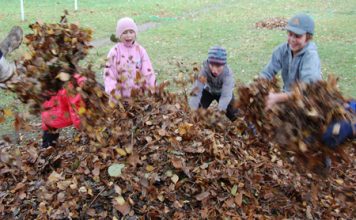 Lehtedesse hüppamise aeg on käes