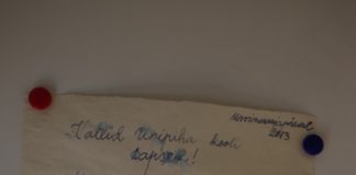 Projekt “Puud on hellad velled” Kiri